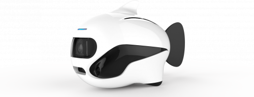 博雅工道仿生魚